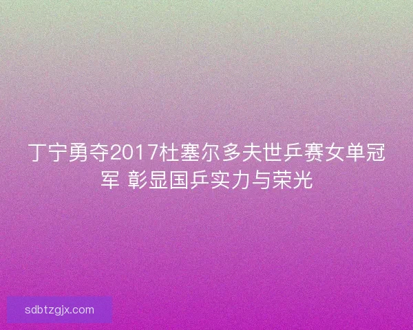 丁宁勇夺2017杜塞尔多夫世乒赛女单冠军 彰显国乒实力与荣光