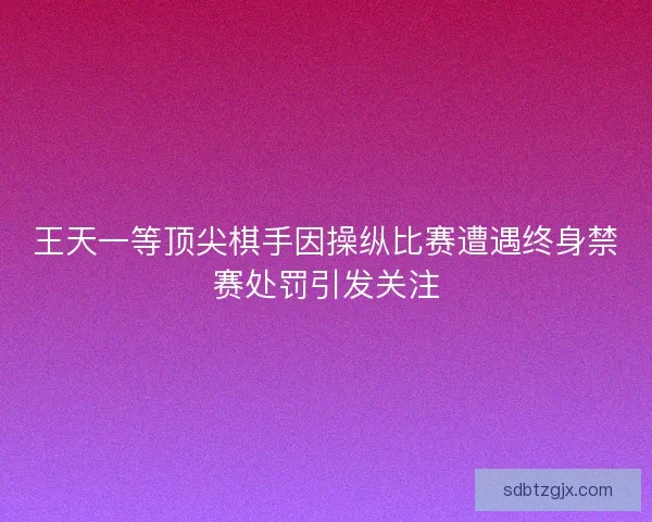 王天一等顶尖棋手因操纵比赛遭遇终身禁赛处罚引发关注