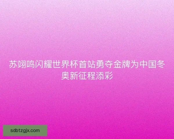 苏翊鸣闪耀世界杯首站勇夺金牌为中国冬奥新征程添彩