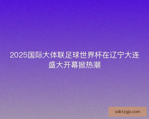 2025国际大体联足球世界杯在辽宁大连盛大开幕掀热潮