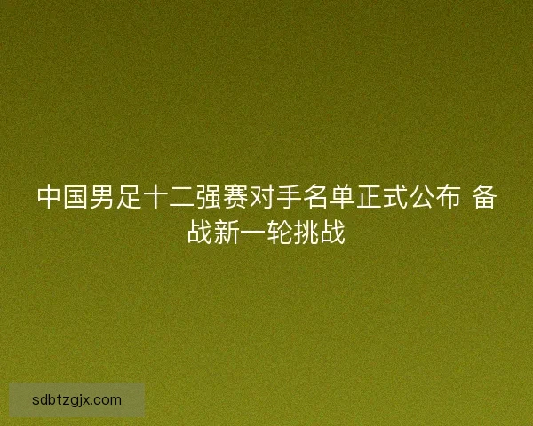 中国男足十二强赛对手名单正式公布 备战新一轮挑战