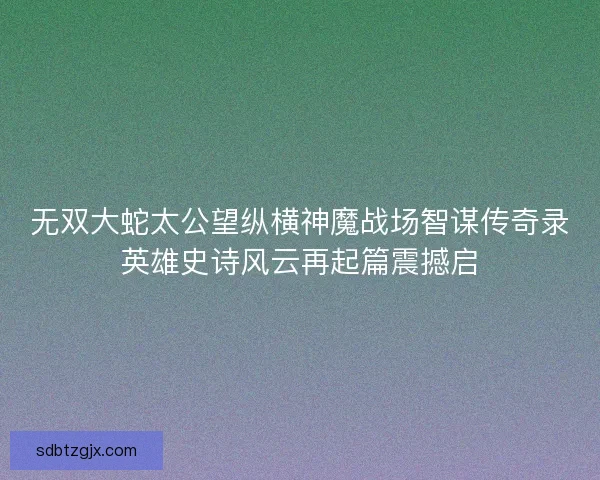 无双大蛇太公望纵横神魔战场智谋传奇录英雄史诗风云再起篇震撼启
