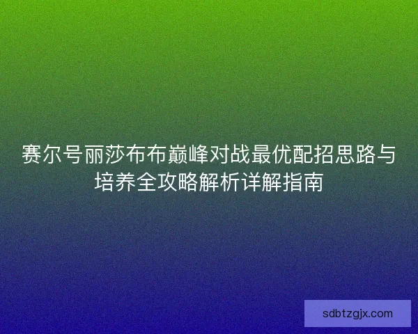 赛尔号丽莎布布巅峰对战最优配招思路与培养全攻略解析详解指南