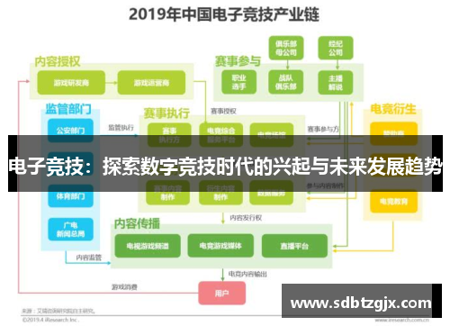 电子竞技：探索数字竞技时代的兴起与未来发展趋势