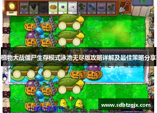 植物大战僵尸生存模式泳池无尽版攻略详解及最佳策略分享